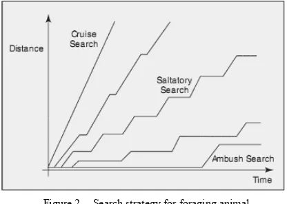 Figure 2.  Search strategy for foraging animal. 