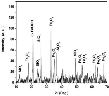 Figure 9. SEM picture of iron ore reject   