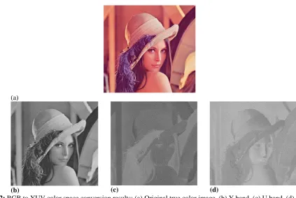 Fig. 2:(b)  RGB to YUV color space conversion results: (a) Original true color image, (b) Y band, (c) U band, (d) V band  