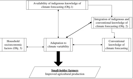 Figure 1.1: Conceptual framework showing the relationship among the objectives 