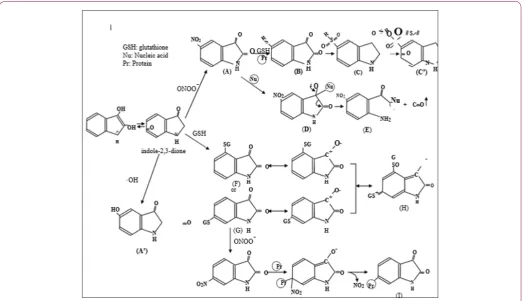 Figure 2: Schematic drawing of indole-2,3-dione and its derivatives.