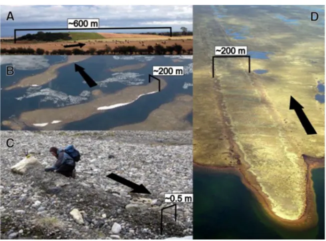 Fig. 1. Different types of subglacial bedform and their orientation to ice-ﬂow direction (denoted by black arrow)