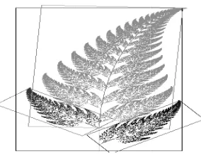 Fig 1 EExample of fractal  fern 