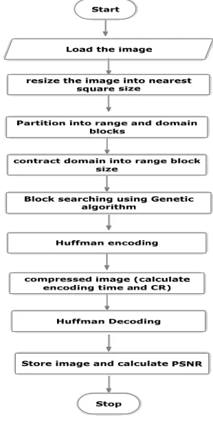 Fig 4 Chromosome type  