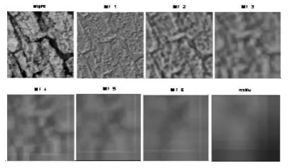 Figure 1.  Example of decomposition an image of the vistex base by FABEMD. 
