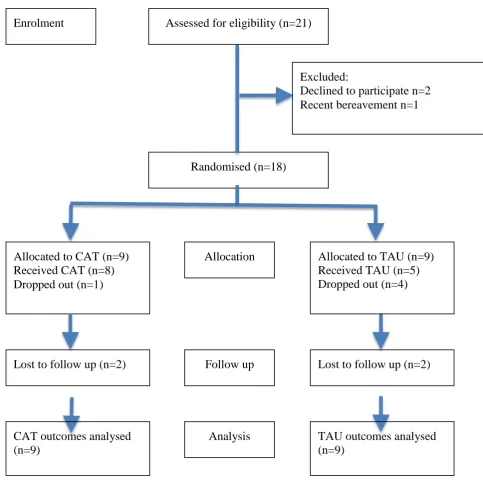 Figure 1.  Consort summary  