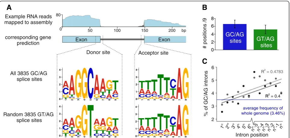 Fig. 1 Non-canonical splicing in Globodera. a Correction of many exon-intron boundaries to be consistent with RNA-seq mapping requiredthe use of a non-canonical 5′ donor site