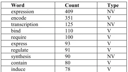Table 2. Description of NE super-classes 