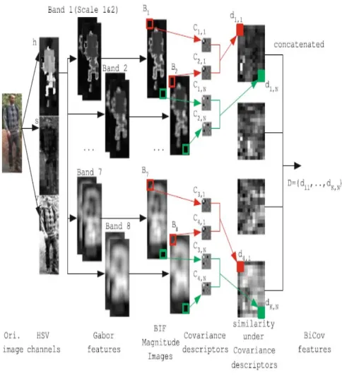 Figure. 1 Flowchart of the proposed approach: (1) color images are split into three color channels (HSV), (2) for each channel, Gabor filters are computed 