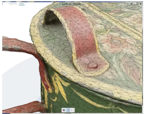Figure 6: Detail of jug with undecimated mesh (1.6 million polys)