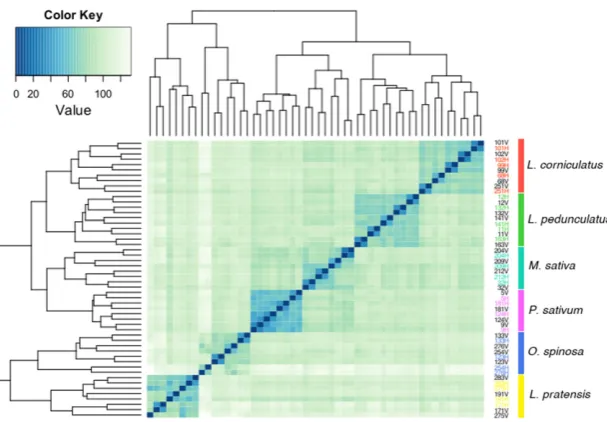 Fig. 2 Heatmapofsample-to-sampleEuclidean distances calculated from reg-ularized log-transformed count data (top2500genesrankedbyvariance).TherLog-transformation accounts for differ-ences in sequencing depth