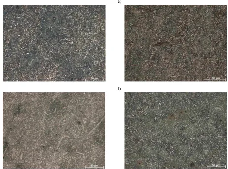 Fig 3: Microstructure in the cross-section of the surface layer of the non-used: a), and used b) fasteners of the SKL 12 system 