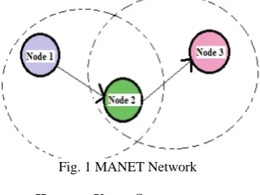 Fig. 1 MANET Network  