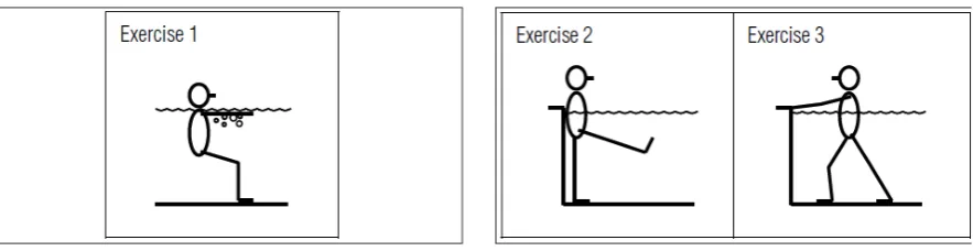 Figure 1.Hydrotherapy program for balance.Phase I – aquatic environment adaptation.Figure 2.Hydrotherapy program for balance