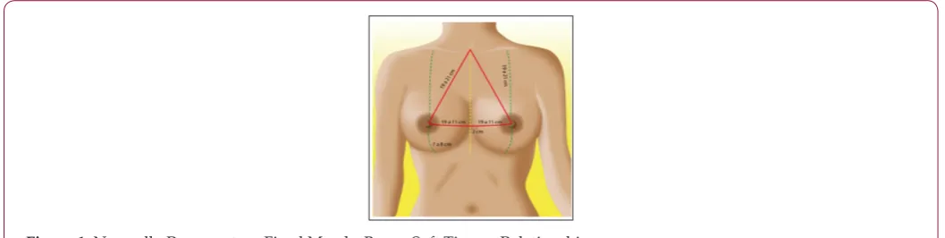 Figure 1: Normally Preoperatory Fixed Marcks Bones-Soft Tissues Relationship.