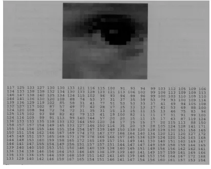 Fig. 1 Image representation in a computer  In binary image each pixel is just black or white