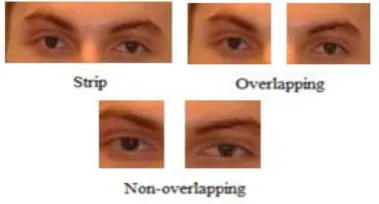 Fig. 4 Different types of periocular regions. Periocular biometric is a process in which the periocular 
