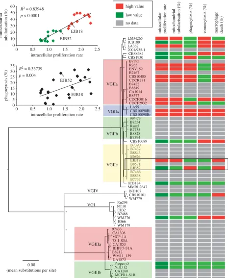 Figure 1. Correlation of phylogenetic and phenotypic data. Phenotypic data were superimposed onto the phylogenetic reconstruction of the nuclear genome andthe data clustered into high- and low-value groups using a k-means clustering approach