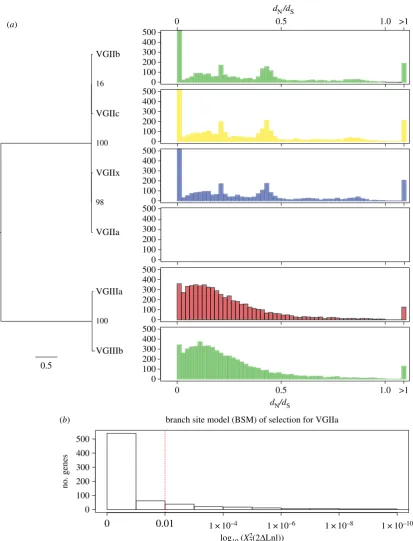 Figure 3. Phylogenetic relationships and selection of the(BSM) of selection in PAML. The remaining genes did not have values (e.g