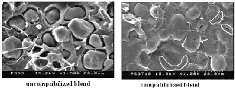 Table 4. Thermal behaviors of SPhe , Blend and their polymer metal complexes 
