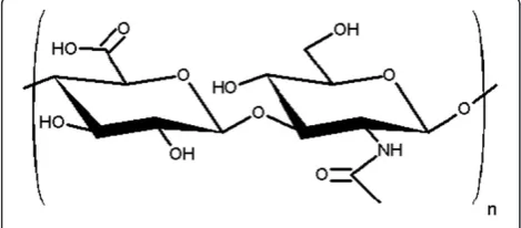 Figure 1 The structure of hyaluronan.