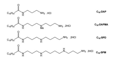 Table 1Critical Micelle Concentrations (CMCs) for compounds in 10and ITC-derived thermodynamic data of micellisation (CMCDzeta sizing data (from DLS based on the volume contribution).mM Tris buﬀer (with 150 mM NaCl) determined by Nile Red (CMCNR)ITC) and DGmic ¼Hmic � TDSmic, where DGmic, DHmic, and TDSmic are the free energy,enthalpy and entropy of micellisation, respectively