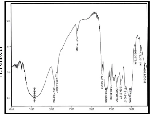 Figure 9.  FTIR Spectra of Maize Leaf Powder 