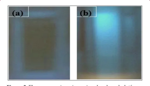 Figure 3: Fluorescence imaging using developed platform.a. Blankb. With 20 μg L-1 OTA