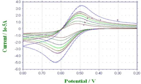Figure 1. Cyclic voltamogram of 3 mM DBF at 303 K and scan rates of (a) 0.025 V s-1, (b) 0.05 V s-1, (c) 0.1  V s-1, (d) 0.15 V s-1, (e) 0.2 V s-1, (f) 0.25 V s-1, (g) 0.5 V s-1
