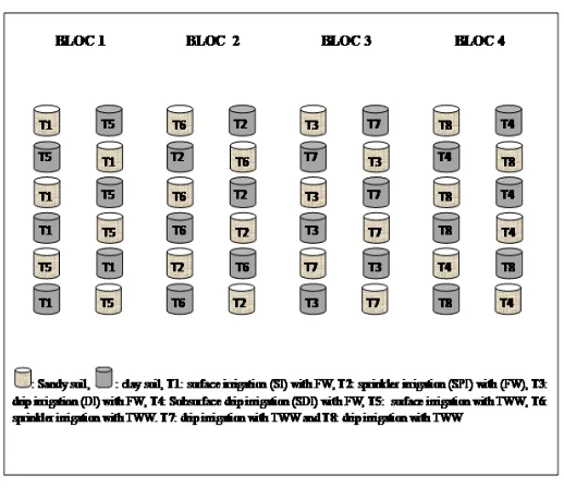 Table 2: Initial characteristics of the two soil textures (trace elements were in mg kg-1)  