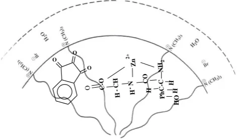 Figure 4. Schematic model representing probable location of reactants for the cationic micellar catalyzed condensation reaction between [Zn(II)-Gly-Tyr]+ complex and ninhydrin