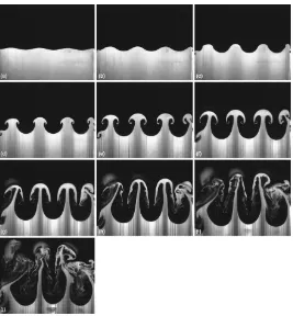 FIG. 6. A sequence of PLIF images showing the development of an immiscible system with Awavelength of 35 mm