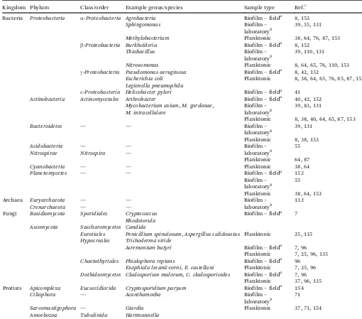 Table 2Examples of microorganisms isolated and identified in the course of drinking water research