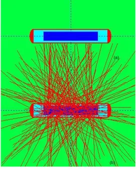 Figure 3. 125I sources modeled using MCNP code: (a) Two-dimensional view; (b) Photons emitted by the source