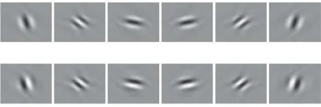 Fig 3- Quasi-Hilbert pairs wavelets used in the dual-tree complex wavelet transform. 