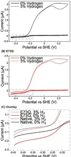 Fig. 3 Inhibition and recovery from 3% OHtotal gas flow rate 100 scc min2 measured at +0.113 V vs SHE with 3% 2 throughout