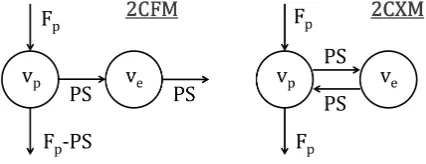 Figure 1: Diagrams of the 2CFM (left) and 2CXM (right).