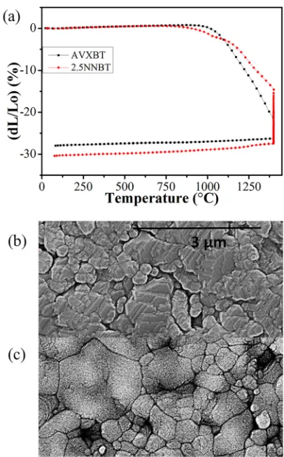 FIG. 2. (a) Dilatometer proﬁles of green pellets for the individual compo-nents of the bilayers and SEM micrographs of sintered (b) BT and (c)2.5NNBT ceramics.