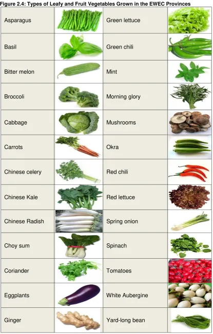 Figure 2.4: Types of Leafy and Fruit Vegetables Grown in the EWEC Provinces 