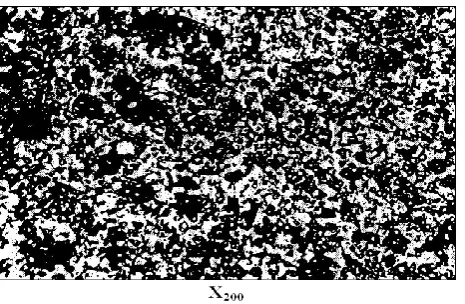 Fig. 12 wear resistance characteristics expressed as metal loss with time of friction a) steel substrate, b) Ni-P-Sic composite coating and c) exposed substrate surface 
