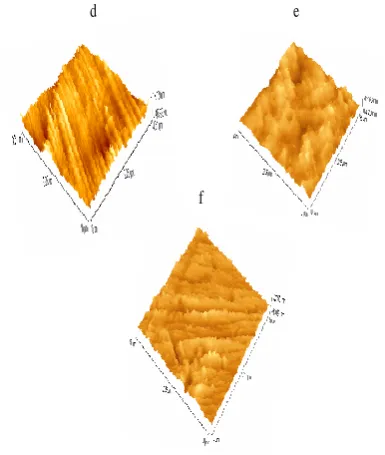 Table 5. AFM data for carbon steel immersed in inhibited and uninhibited environments