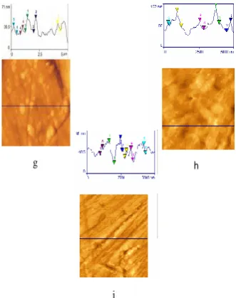 Figure 5i. AFM cross-sectional images of the surface of,  