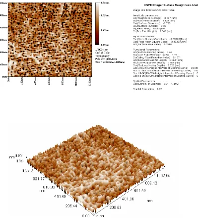 Figure (2) surface morphology of silicon porous layer 