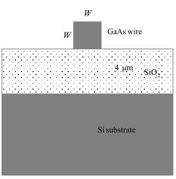 Figure 1. Schematic diagram of GaAs wire. 