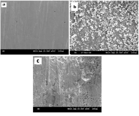 Figure 4. SEM analysis of a) Polished Carbon steel (control); b) Carbon steel immersed in ground water (Blank); c) Carbon steel immersed in ground water + 250 ppm of CMC + 50 ppm of Zn2+ 