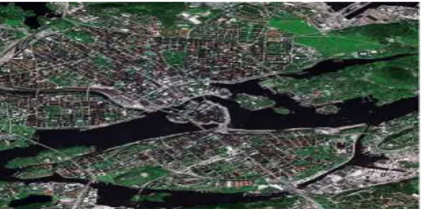 Fig. 3: (a)Compressed Image. 