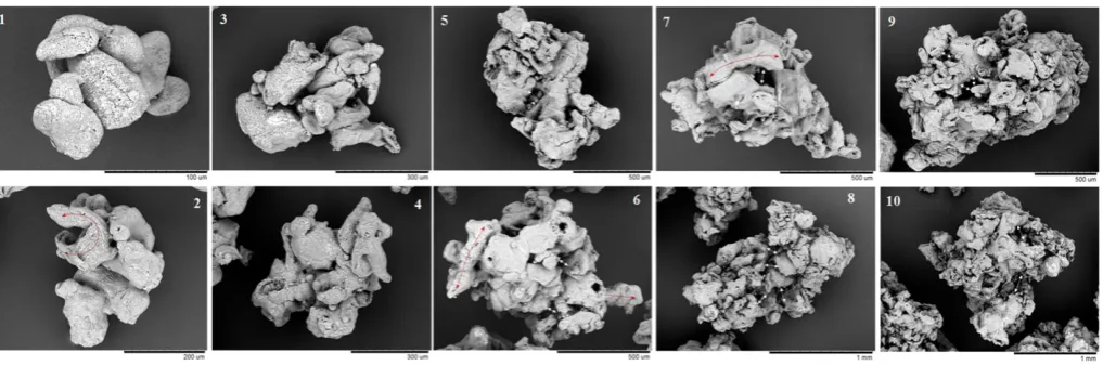 Fig. 12. Particle structure resulting from drying. SEM micrographs show examples ofcollapsed droplets (1,2), hollow particles (3), coiled ligaments (4,5) and commonporous particles (6,7)