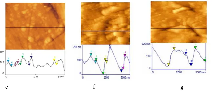 Figure 3. AFM cross-sectional images of the surface of: d) As polished carbon steel (control); e) carbon steel immersed in sea water (blank); f) carbon steel immersed in sea water containing tryp  (250 ppm) + Zn2+ (20 ppm)