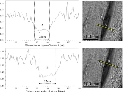Figure 7 Intensity profiles across regions A and B from Figure 6 (d) plasmon ratio map to highlight differences in graphitic nature