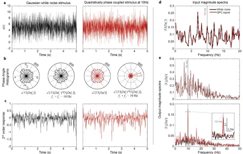 Fig 4. Fly photoreceptors detect quadratic phase coupling. a, White noise stimulus (black) and phase-modified white noise stimulusexhibiting quadratic phase coupling (QPC) at 10Hz (red)